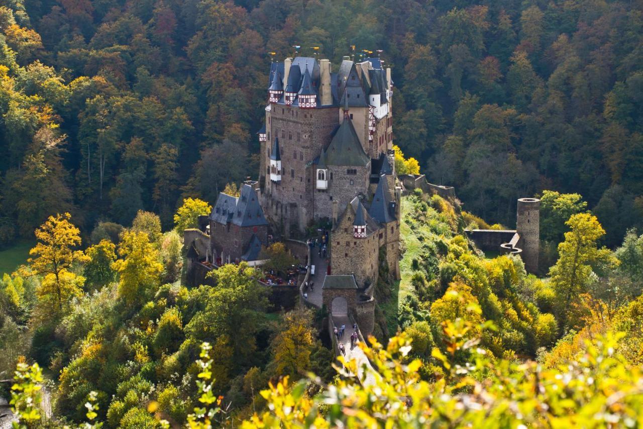 Tiny House Natur-Traum Zur Burg Eltz Wierschem Εξωτερικό φωτογραφία
