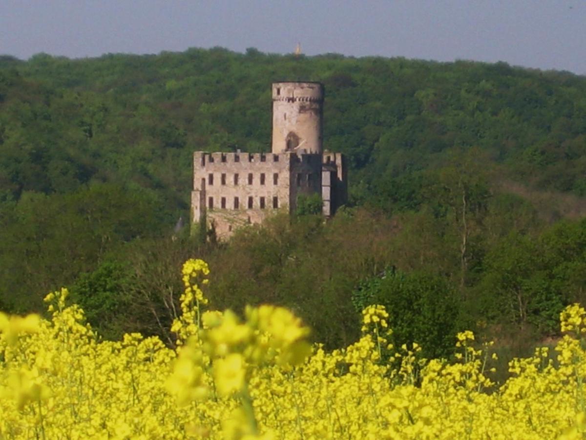 Tiny House Natur-Traum Zur Burg Eltz Wierschem Εξωτερικό φωτογραφία