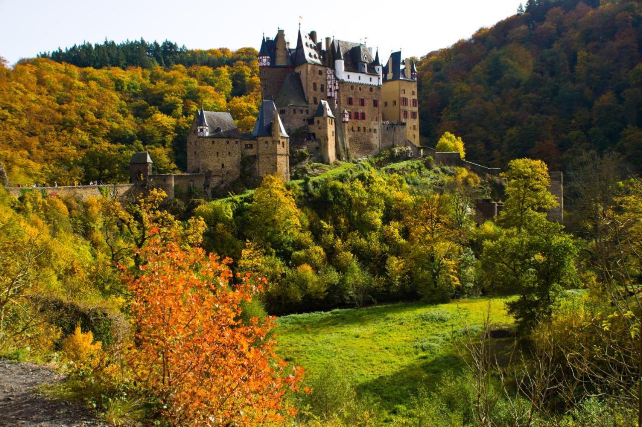 Tiny House Natur-Traum Zur Burg Eltz Wierschem Εξωτερικό φωτογραφία